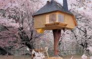 Как построить домик на дереве Идеи для домика на дереве своими руками